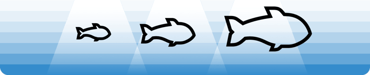 Blog Images - What Science says about Light and Salmon_element 1