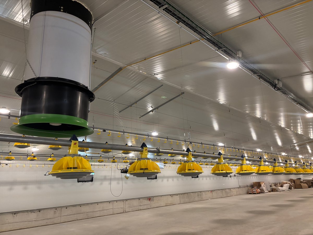 Exterior of Luis Neto’s modern poultry facility in Cantanhede, Portugal, equipped with HATO lighting systems.