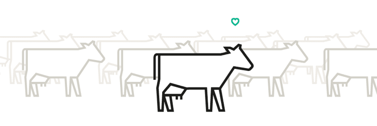 Blog 2 - Case Study Validating Impact of RUDAX_Artboard 1