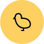 HATO_Icons_CMYK_Tekengebied 1 kopie 5 copy 33