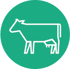 HATO_Icons_CMYK_Tekengebied 1 kopie copy 14