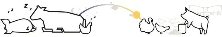 Blog Images - 7 Key Ways Light Cycles_element 1
