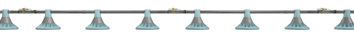 Blog 2 - New SYLVA - Images_element 5