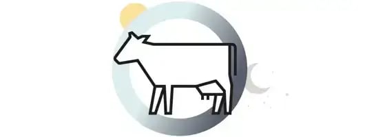 How lighting Influences calving times - Blog images_element 1