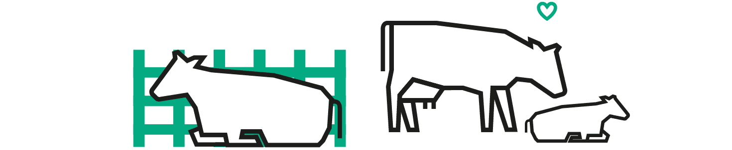 How lighting Influences calving times - Blog images_element 2