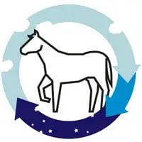 Images Blog - Horse Lighting_element 1 copy