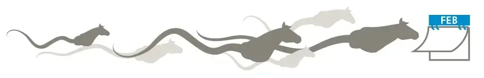 Images Blog - Horse Lighting_element 1