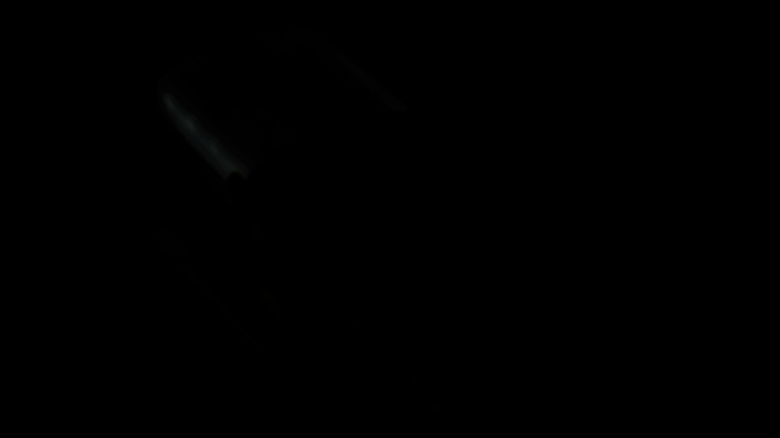 SYLVA dark 