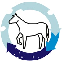 Images Blog - Horse Lighting_element 1 copy