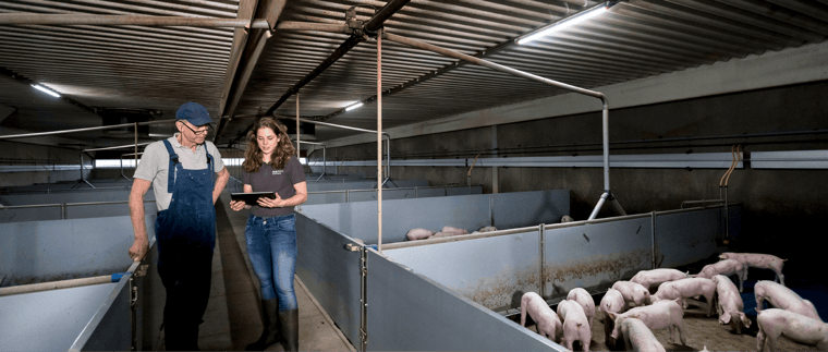 Lighting as an influencer of pig welfare and production-02
