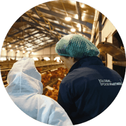 Indonesia Cage Free model farm_Quote image