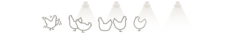 03-28 - 3 key requirements for improving aviary_element 1 - 2