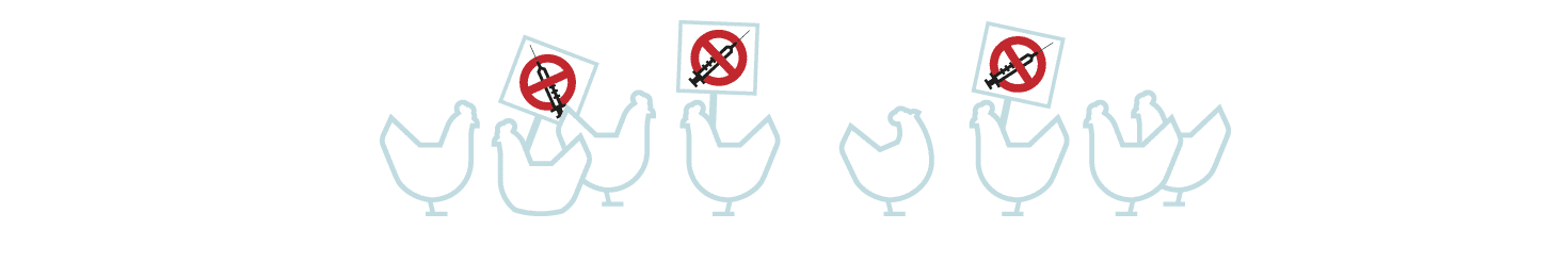 03-17 - Rethinking poultry housing & aviary hen welfare first_element 1 copy