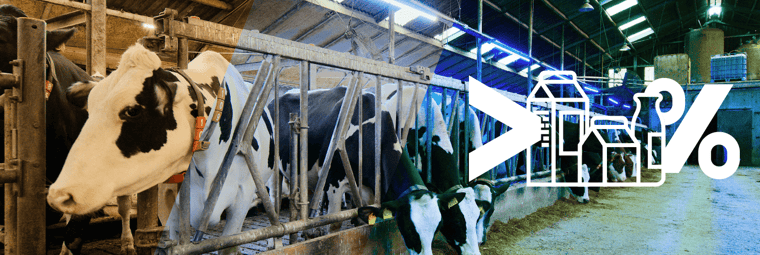 Blog -Improve Cow Milk Production- Images_element 1 copy