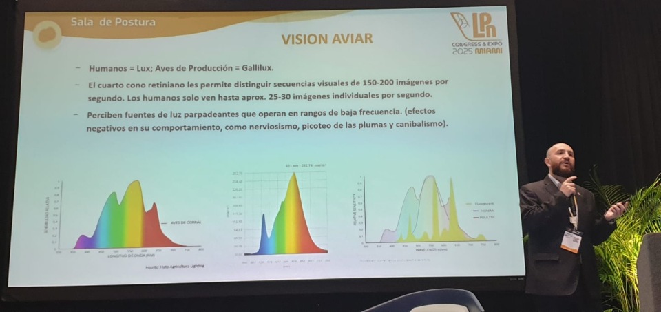 WhatsApp Image 2025-11-18 at 11.39.11 (1)