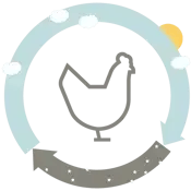 The importance of lighting in aviary systems_element 2