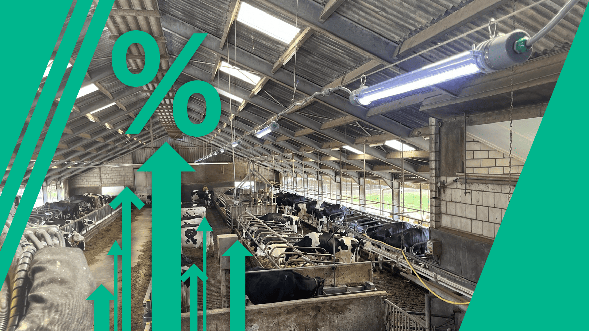 RUDAX LED Systems Deliver Measurable Gains_Header