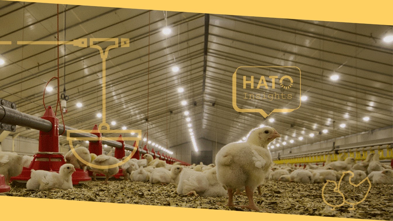 Procavi Innovating Turkey Production for a Sustainable Future-1
