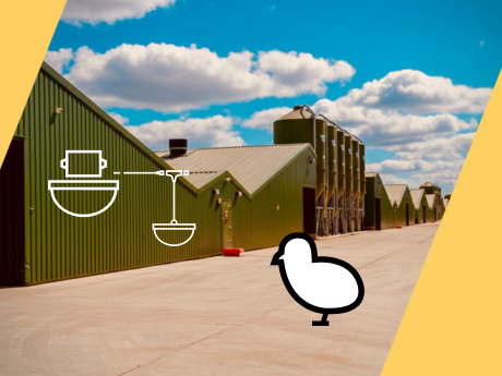 46 Sheds of Success: How Applied Poultry Limited Shines with HATO